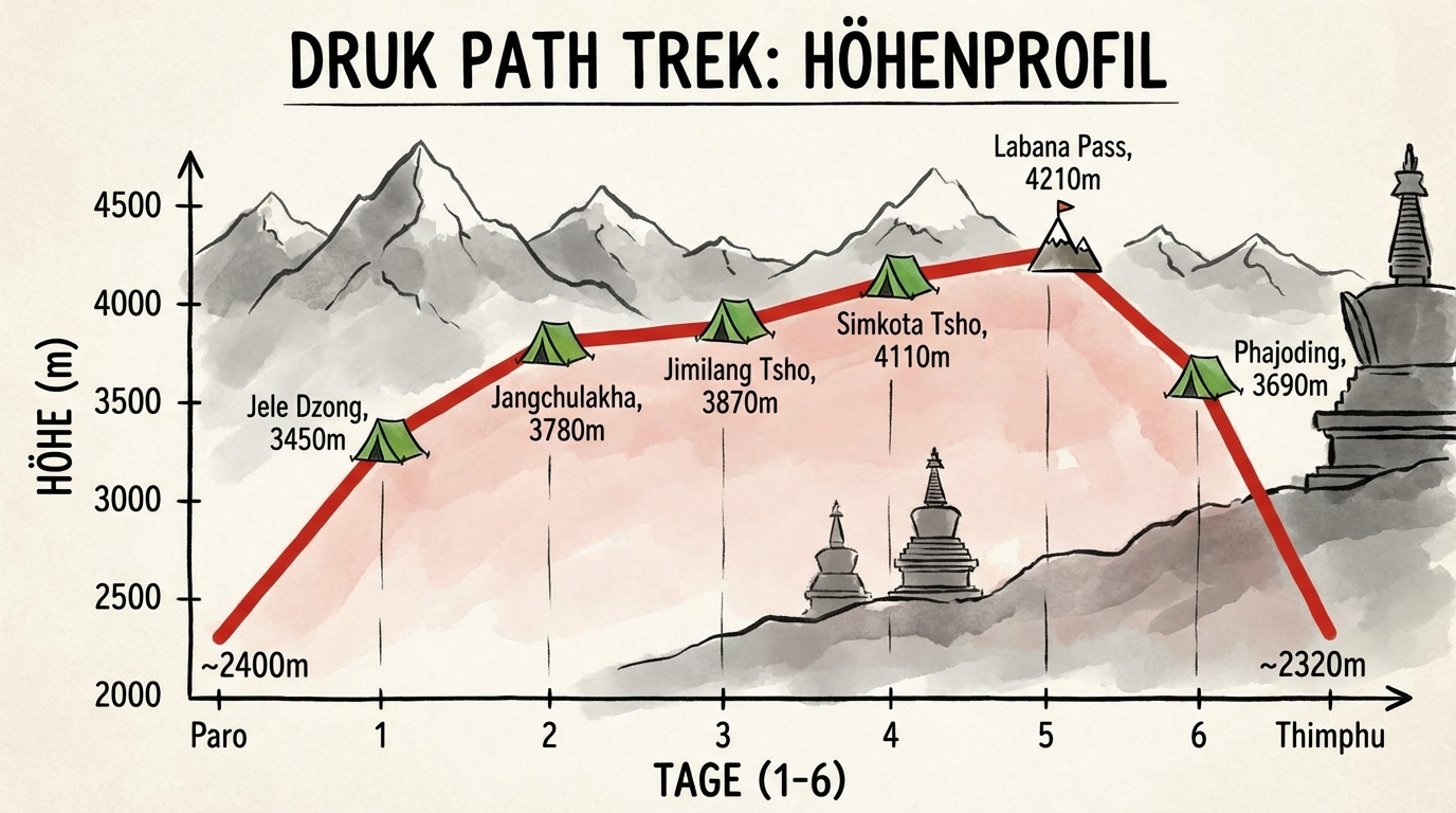 Grafische Darstellung des Höhenprofils vom Druk Path Trek: Eine Liniengrafik zeigt den Höhenverlauf über die sechs Tage – steiler Anstieg am Tag 1, relativ konstantes Niveau um 3.800m an den Tagen 2-4, Erreichen des höchsten Punkts (4.210m Labana Pass) am Tag 5, steiler Abstieg am Tag 6, die Campingplätze sind als Punkte markiert
